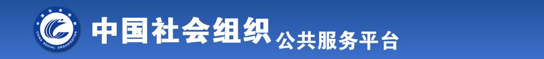 粉逼网站全国社会组织信息查询